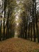autumn_trails_ii_by_simfonic-d396xdv